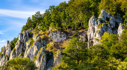 Jurassic limestone mountain massif with Glove Rock - Rekawica - in Pradnik creek valley of Cracow-Czestochowa upland in Ojcow in Lesser Poland © Art Media Factory
