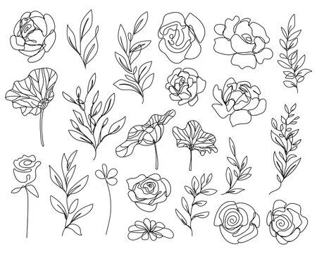 Continuous Line Drawing Set Of Simple Flowers and Leaves Black Sketch Isolated on White Background. Floral One Line Illustrations Set. Minimalist Botanical Drawing. Vector EPS 10.