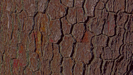 red dark wood texture for background