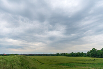 field and cloudy sky