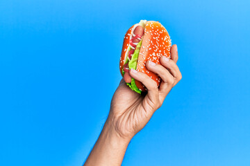 Hand of hispanic man holding hot dog over isolated blue background.