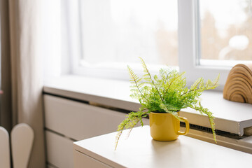A yellow flower pot with greenery on the table stands on the white wooden background of the window in the interior of the house. Copy space