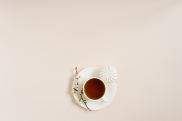 Flat lay of tea cup standing with apple flowers and marshmellow on beige background with copy space