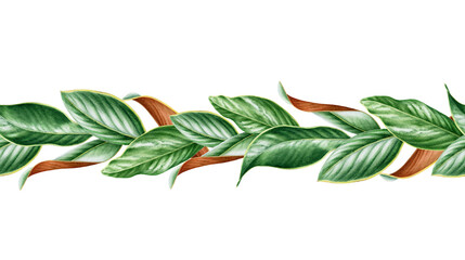 Magnolia leaf seamless border. Watercolor illustration. Realistic elegant seamless border element. Lush green magnolia leaf decor. Endless floral decorative ornament © anitapol