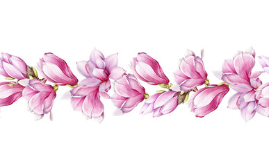 Fototapeta na wymiar Magnolia flower seamless border. Watercolor illustration. Tender pink magnolia blossom decor. Endless floral decorative ornament. Realistic elegant seamless border element