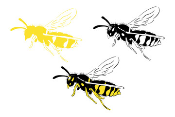 Bee set illustration black yellow isolated on white background