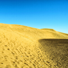 Sand dunes in the desert. Blue sky. Square orientation.