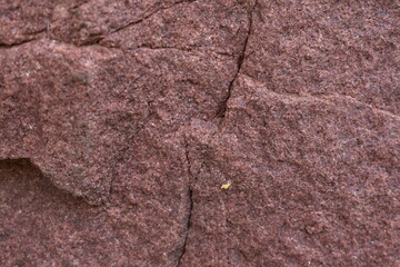 Stone texture, stone background