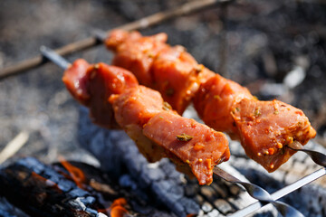 Juicy meat on a skewer. Frying kebabs in the fresh air. Summer afternoon picnic