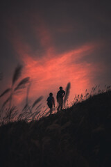 silhouette of a couple walking in the sunset - 425243135