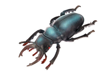 Large blue beetle, toy beetle on a white background, isolated