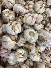 bunch of garlic