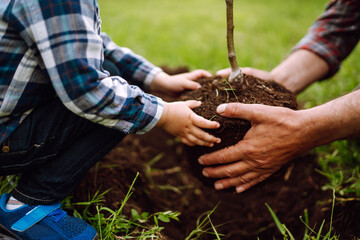 Hands of grandfather and little child planting young tree while working together in the garden. Fun little gardener. Spring concept, save nature and care.
