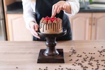 Young pastry chef cooking a delicious homemade chocolate cake with fruits in the kitchen