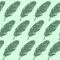 Seamless background with feathers. The pattern is seamless. Vector illustration. Hand-drawn. Lots of feathers. Stock vector illustration. Green feathers in a row.