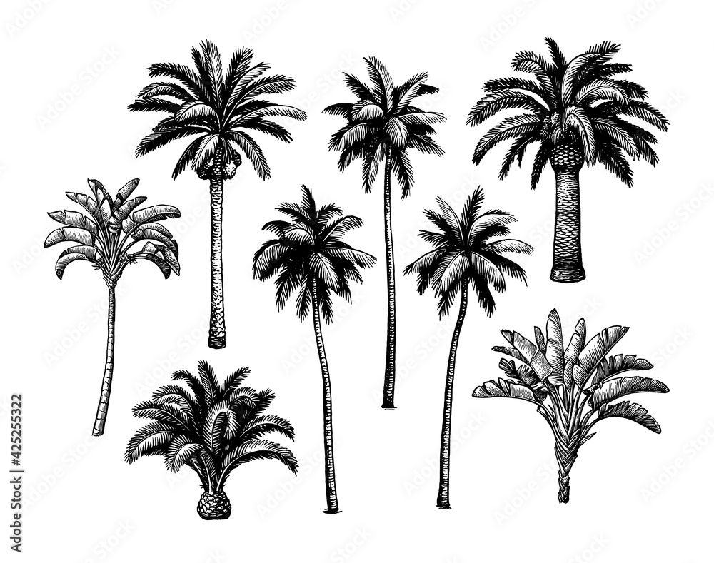 Canvas Prints palm tree set.