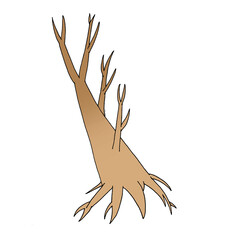 Tree illustration, tree trunk, color illustration, white background