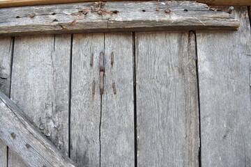 Background of Wood texture