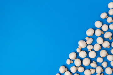Champignon mushrooms pattern with copy space on a blue background. Top view.