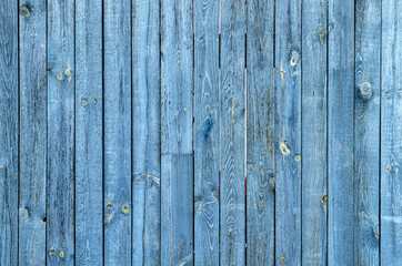 blue wood background with peeled paint, fencing with old wood planks