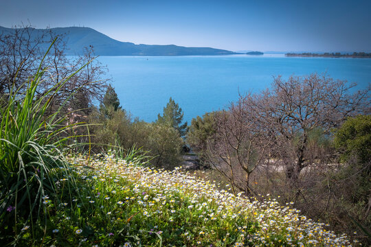 Stunning natural landscape of Igumenitsa region with white yellow flowers overlooking the beautiful of Drepano beach...