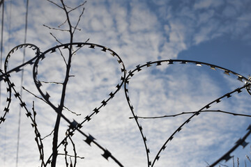 barbed wire on the background of a beautiful morning sky