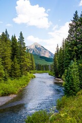 Fototapeta na wymiar river in the mountains, Mt. Crested Butte