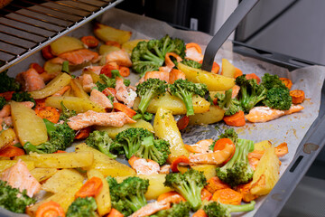 stir fried chicken with vegetables