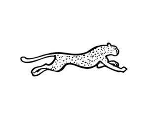 leopard run and jumping vector