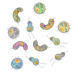 set of colourfull bacteria. coloring germs.
