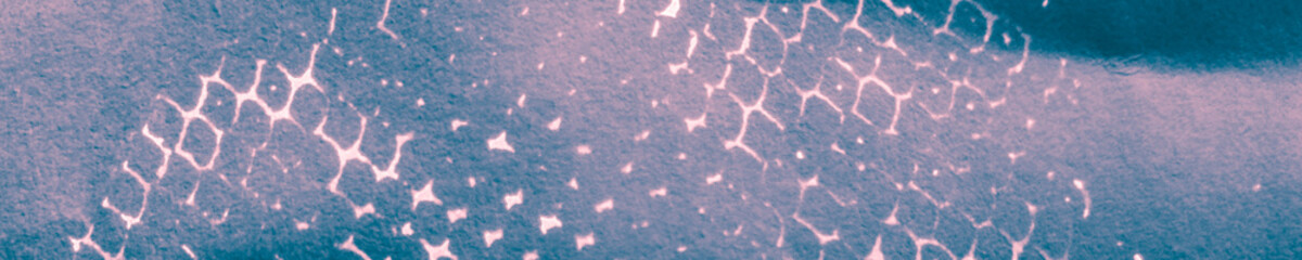 Polka Dot Print. Dark Graffity Spots. Psychedelic