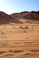 Fototapeta na wymiar Around Nazwa and pink rock desert, viewing of the sand and plant in the desert, sharjah, United Arab Emirates