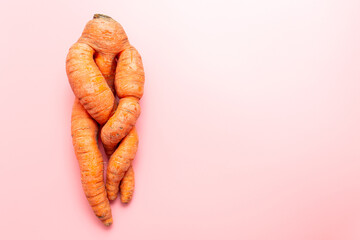 funny ugly twisted carrot on pink background.