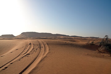 Around Nazwa and pink rock desert, viewing of the sand and plant in the desert, sharjah, United Arab Emirates