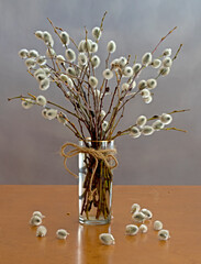 orthodox easter still life with pussy willow branches with catkins and vase on the table