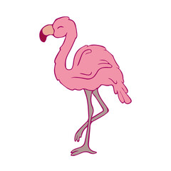 Flamingos. Doodle. Contour bird. Contour. Pink flamingo. Sticker