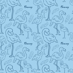 Seamless pattern. Vector .Flamingos. Doodle. Contour bird. Contour. Pink flamingo. Blue color