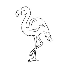 Flamingos. Doodle. Contour bird. Contour.