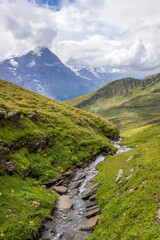 Plakat The Grindewald Valley and mountain pastures in Switzerland 