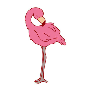 pink flamingo standing, preening, white background clip art preview
