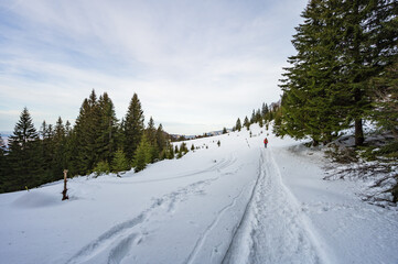 Fototapeta na wymiar Hiker on snowy hiking trail in Romanian mountains