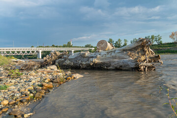 Beautiful river bank and sky, in the distance a bridge, in front of an old log of a tree.