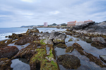 磯遊び千葉県の海