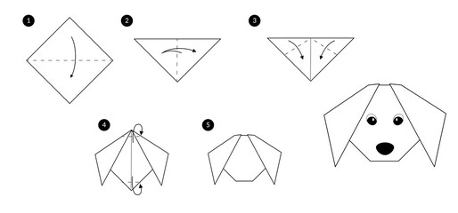  Instructions how to make origami dog head. Black line monochrome step by step illustration isolated on white.