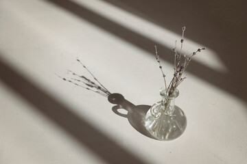 Tranquil background, a vase with dried lavender flowers on a white floor in a frame from the light from the window