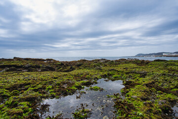 青い苔と海、千葉県房総の海