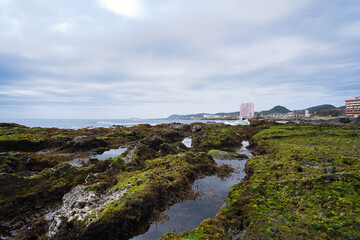 Fototapeta na wymiar 青い苔と海沿いのリゾート