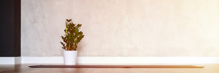 the interior of the studio room for yoga, a rubber mat and a plant zamioculcas on the wooden floor against the background of a gray concrete wall. minimal style. banner. space for text. flare