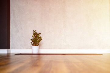 the interior of the studio room for yoga and stretching, a rubber mat and a plant zamioculcas on the wooden floor against the background of a gray concrete wall. minimal style. space for text. flare