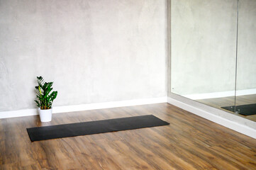 the interior of the studio room for yoga and stretching, a rubber mat and a plant zamioculcas on the wooden floor against the background of a gray concrete wall. minimal style. space for text